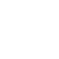 Expert Team